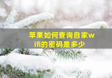 苹果如何查询自家wifi的密码是多少