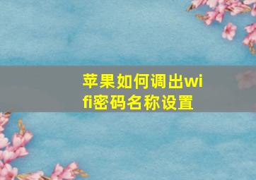 苹果如何调出wifi密码名称设置