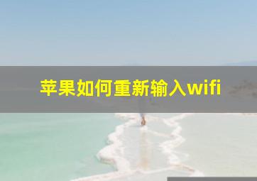 苹果如何重新输入wifi