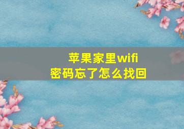 苹果家里wifi密码忘了怎么找回