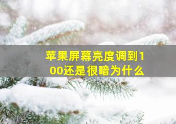 苹果屏幕亮度调到100还是很暗为什么