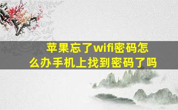 苹果忘了wifi密码怎么办手机上找到密码了吗