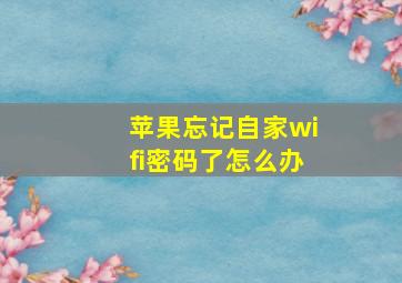 苹果忘记自家wifi密码了怎么办