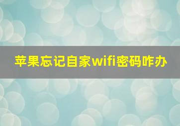 苹果忘记自家wifi密码咋办