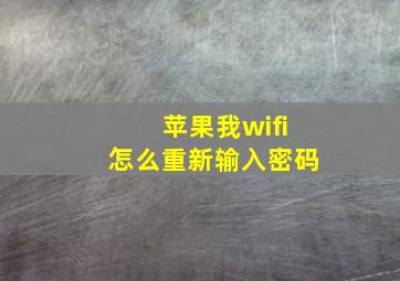 苹果我wifi怎么重新输入密码