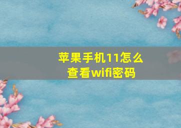 苹果手机11怎么查看wifi密码