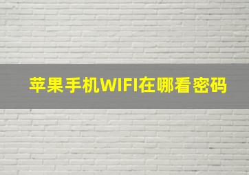 苹果手机WIFI在哪看密码