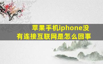 苹果手机iphone没有连接互联网是怎么回事