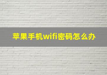 苹果手机wifi密码怎么办