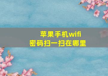 苹果手机wifi密码扫一扫在哪里