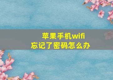 苹果手机wifi忘记了密码怎么办