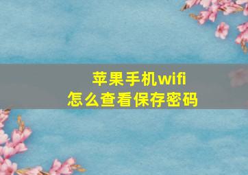 苹果手机wifi怎么查看保存密码