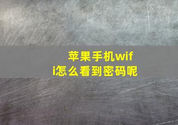 苹果手机wifi怎么看到密码呢