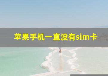 苹果手机一直没有sim卡