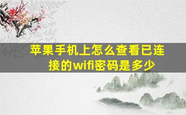 苹果手机上怎么查看已连接的wifi密码是多少