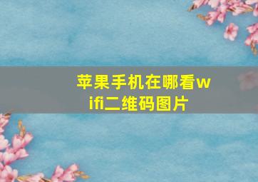 苹果手机在哪看wifi二维码图片