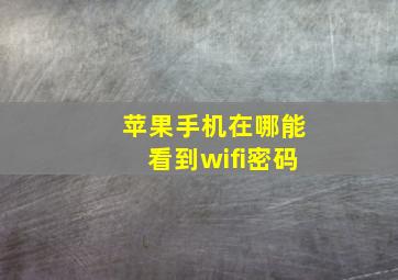 苹果手机在哪能看到wifi密码