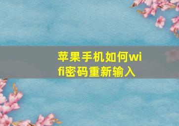 苹果手机如何wifi密码重新输入