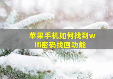 苹果手机如何找到wifi密码找回功能