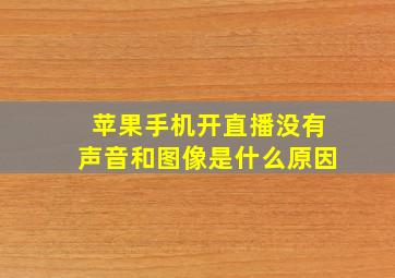 苹果手机开直播没有声音和图像是什么原因