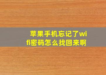 苹果手机忘记了wifi密码怎么找回来啊