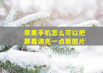 苹果手机怎么可以把屏幕调亮一点呢图片