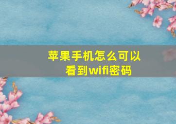 苹果手机怎么可以看到wifi密码