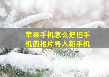 苹果手机怎么把旧手机的相片导入新手机