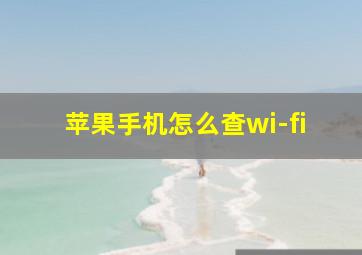 苹果手机怎么查wi-fi