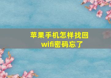 苹果手机怎样找回wifi密码忘了