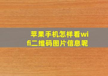 苹果手机怎样看wifi二维码图片信息呢