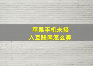 苹果手机未接入互联网怎么弄