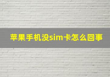 苹果手机没sim卡怎么回事