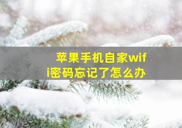 苹果手机自家wifi密码忘记了怎么办