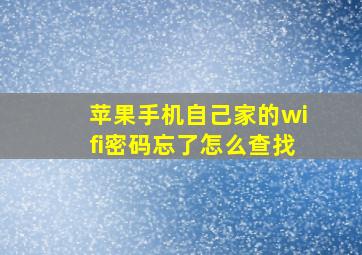 苹果手机自己家的wifi密码忘了怎么查找