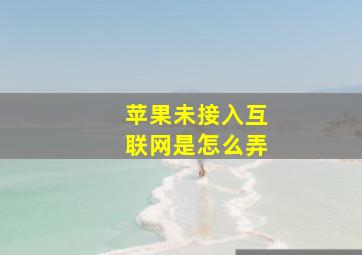 苹果未接入互联网是怎么弄