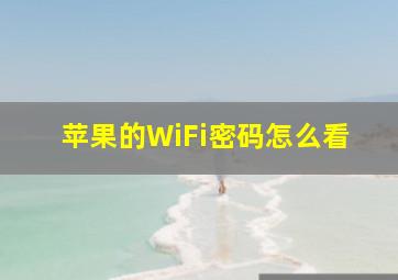 苹果的WiFi密码怎么看