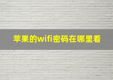 苹果的wifi密码在哪里看