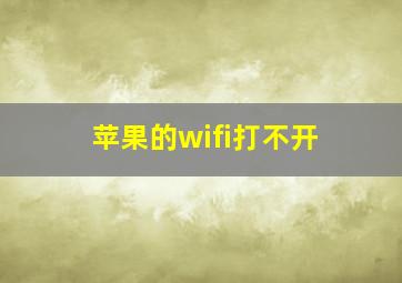 苹果的wifi打不开