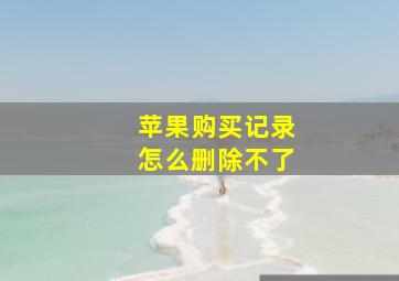 苹果购买记录怎么删除不了