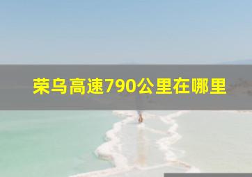 荣乌高速790公里在哪里