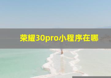 荣耀30pro小程序在哪