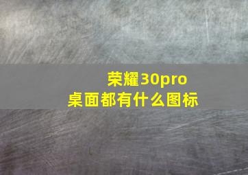 荣耀30pro桌面都有什么图标