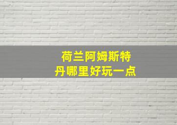 荷兰阿姆斯特丹哪里好玩一点