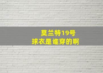 莫兰特19号球衣是谁穿的啊