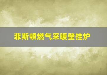 菲斯顿燃气采暖壁挂炉