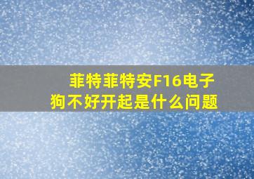 菲特菲特安F16电子狗不好开起是什么问题