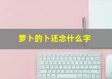 萝卜的卜还念什么字