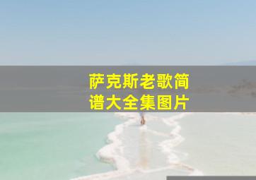 萨克斯老歌简谱大全集图片