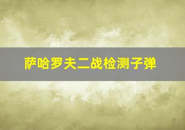 萨哈罗夫二战检测子弹